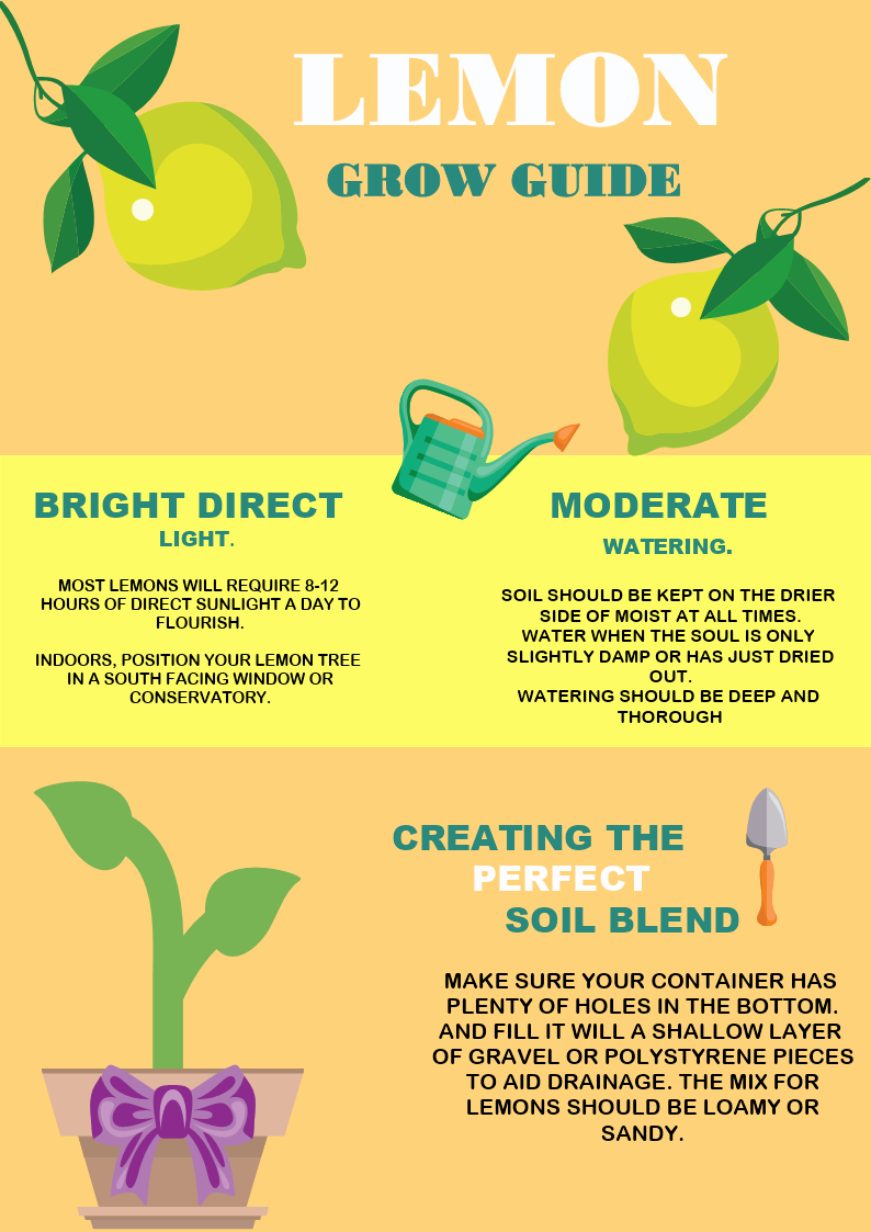 Lemon Growth Chart