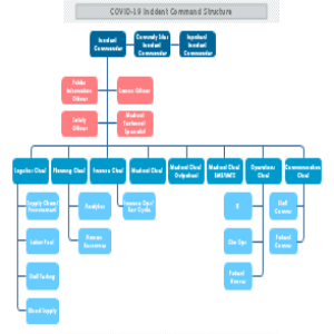 COVID19Incident Command Structure thumb