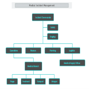 Medical Incident Management thumb