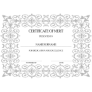 Certificate of Merit thumb