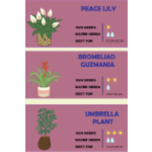 Plant Cards thumb