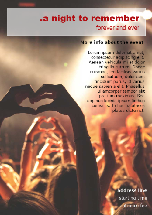 Party Flyer