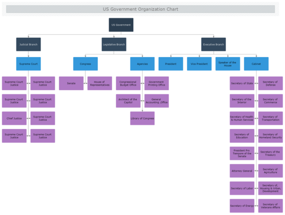 USGovernment Org Chart