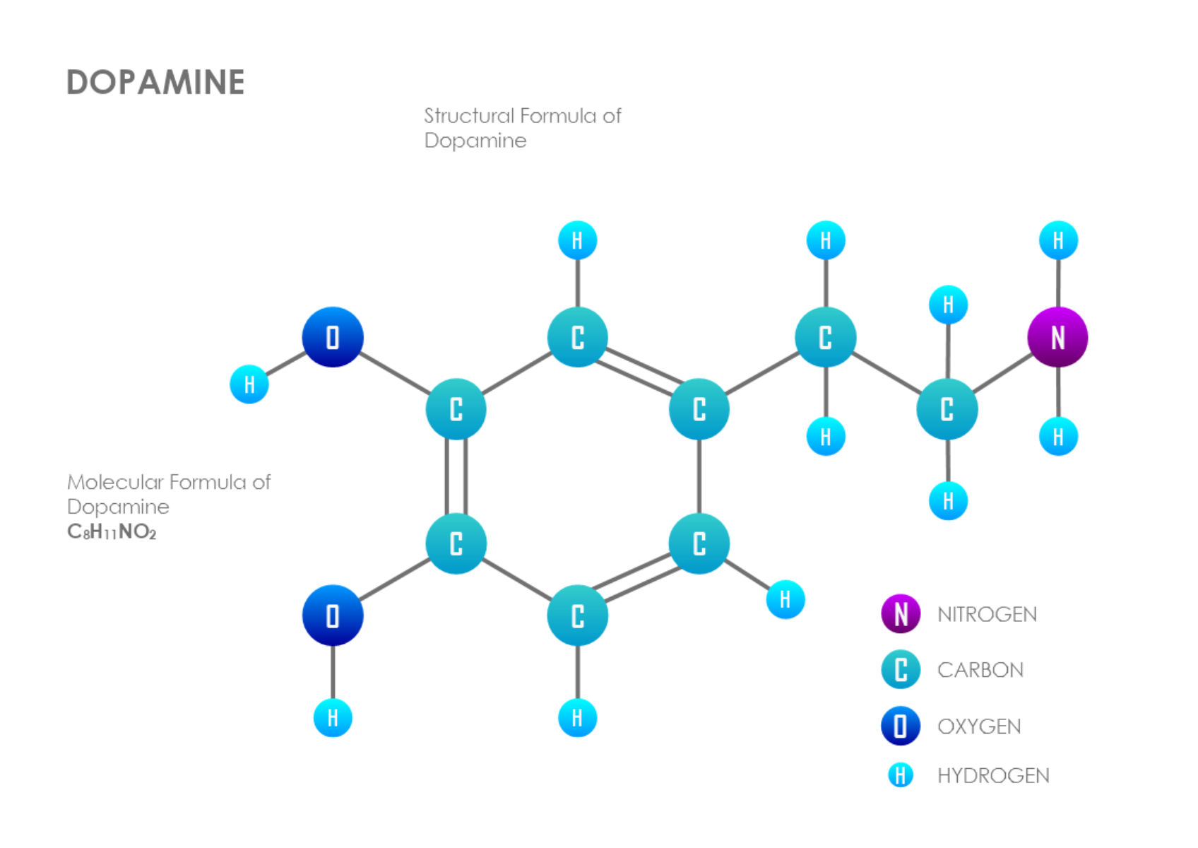 Dopamine Chemistry Diagram