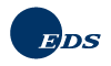 Electronic Data Systems