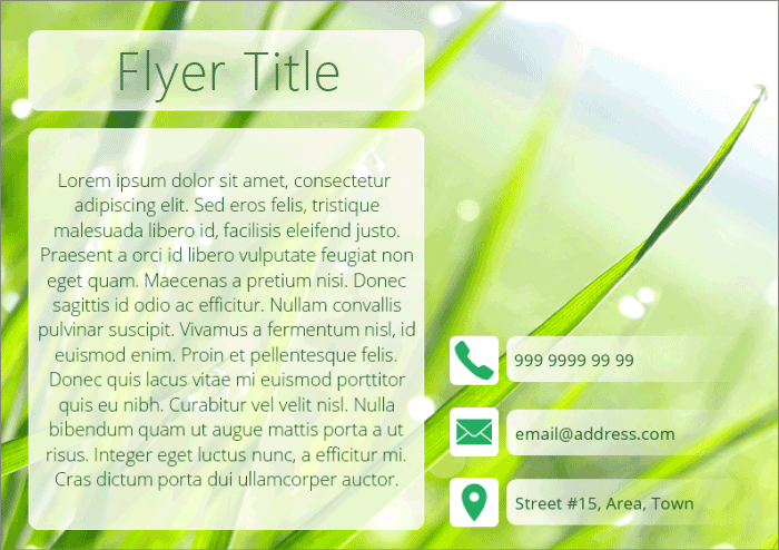 Flyer