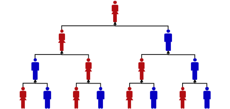 Family tree