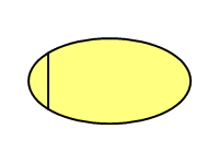 Organizational Unit
