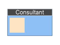 Consultant