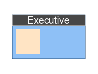 Executive