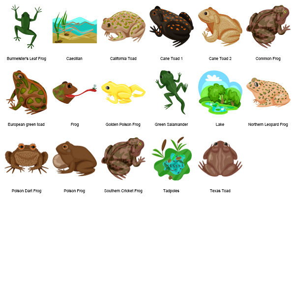 Amphibians Preview Large