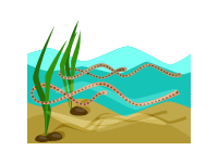 Caecilian