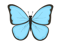 Blue Butterfly