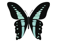 Butterfly 2