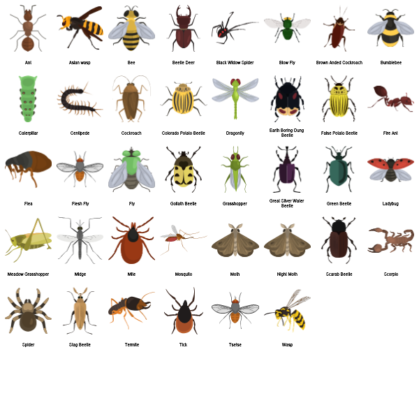 Insects Preview Large