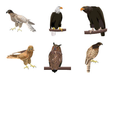 Birds of Prey Preview Small