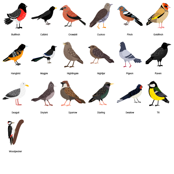 City Birds Preview Large