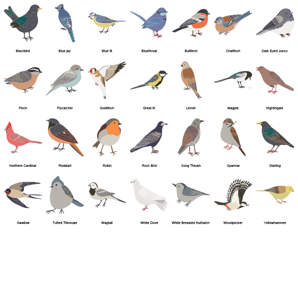 Garden Birds Preview Large