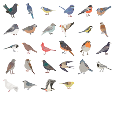 Garden Birds Preview Small