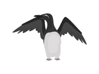 Razorbill