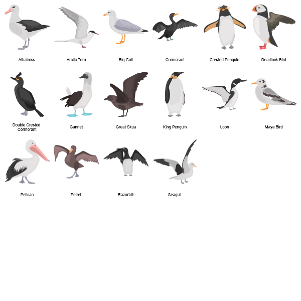 Sea Birds Preview Large