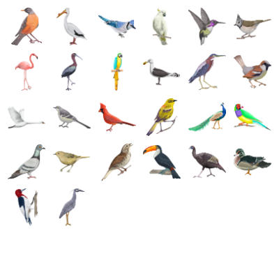 Tropical Birds Preview Small