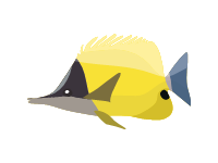 Parrotfish
