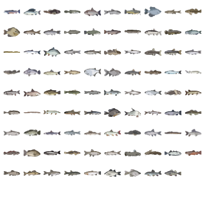 Freshwater Fishes Preview Small