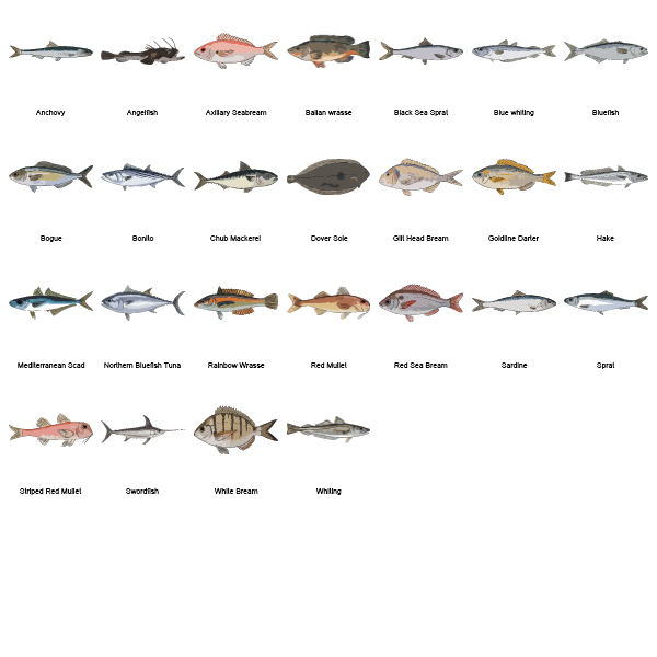Sweetwater Fishes Preview Large