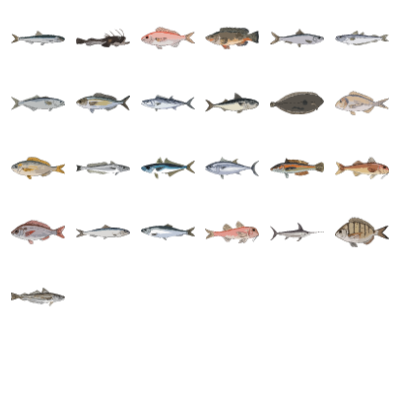 Sweetwater Fishes Preview Small