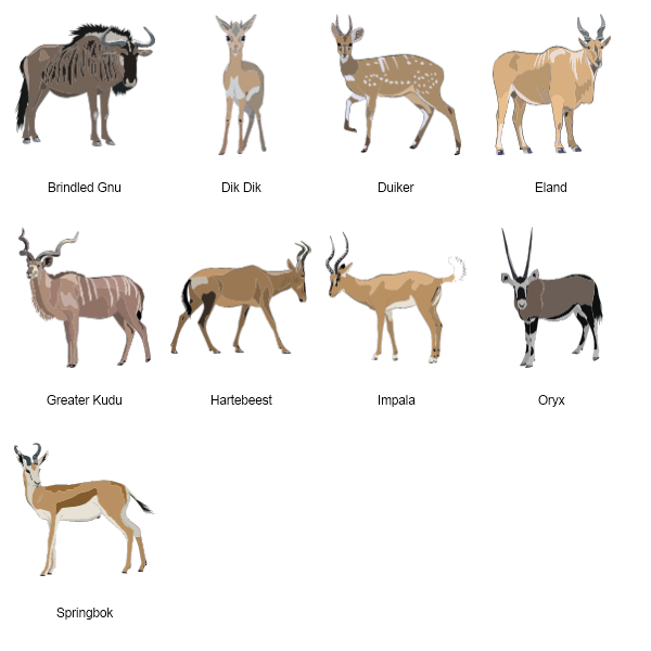 Antelope Preview Large