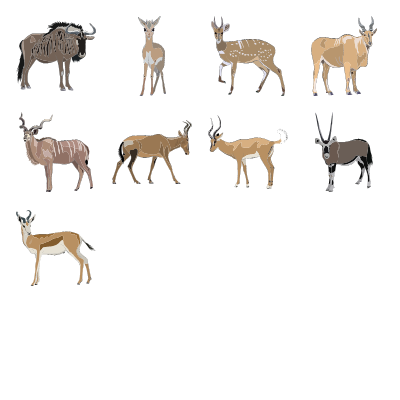 Antelope Preview Small