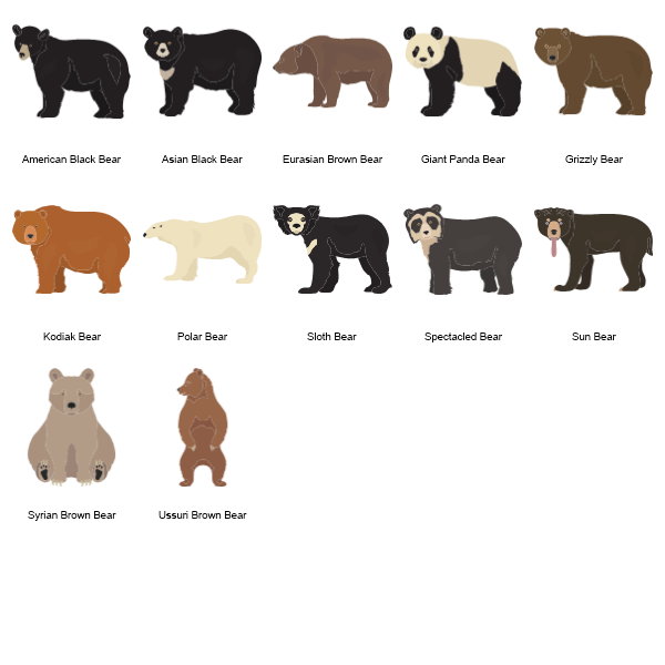 Bears Preview Large