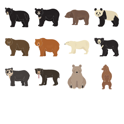 Bears Preview Small