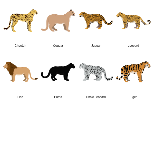 Big Cats Preview Large