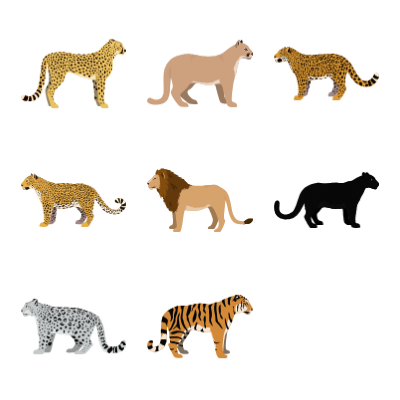 Big Cats Preview Small