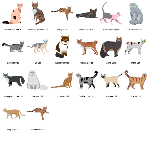 Cats Preview Large