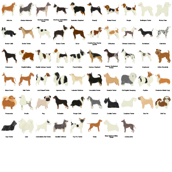 Dogs Preview Large