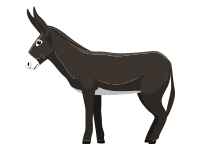 American Mammoth Jackstock