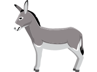 Amiatina
