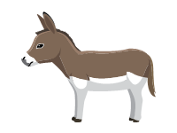 Miniature Mediterranean Donkey
