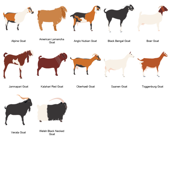Goats Preview Large