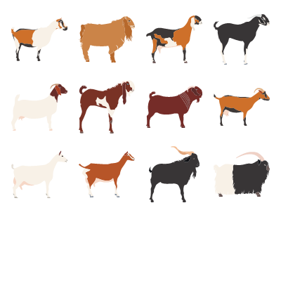 Goats Preview Small