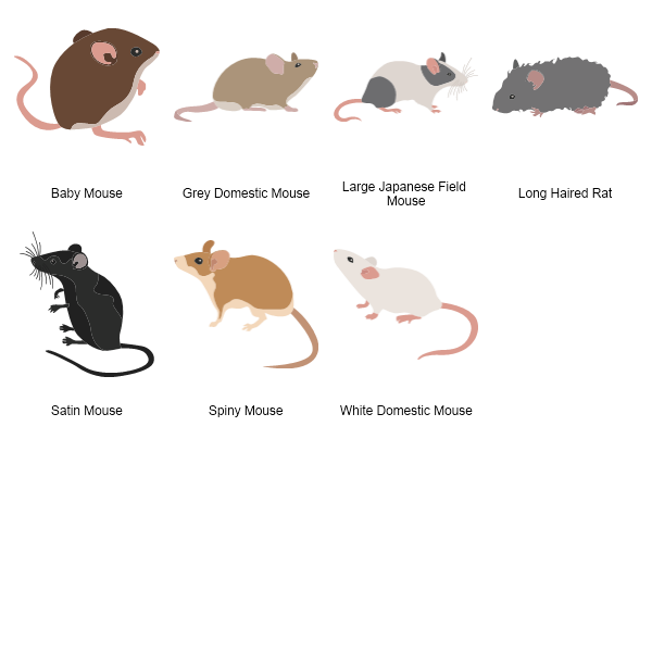 Mice Preview Large