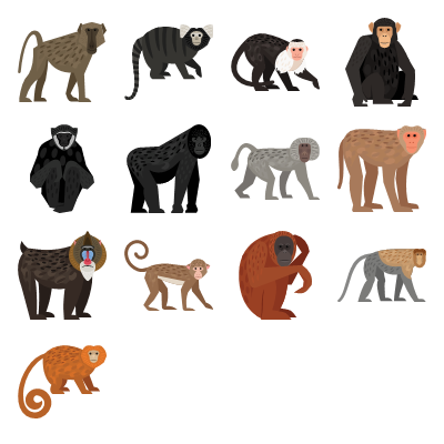 Monkeys Preview Small