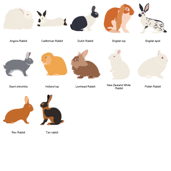 Rabbits Preview Large