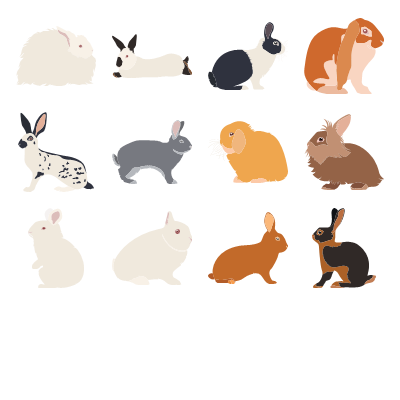 Rabbits Preview Small