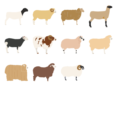 Sheep Preview Small