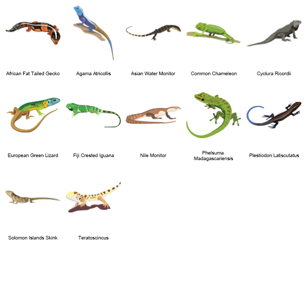 Lizards Preview Large