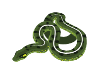Green Anakonda